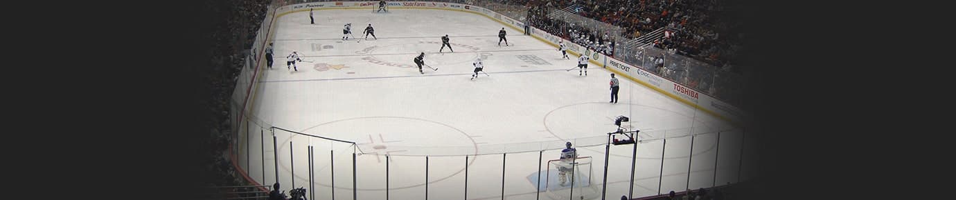 Anaheim Ducks