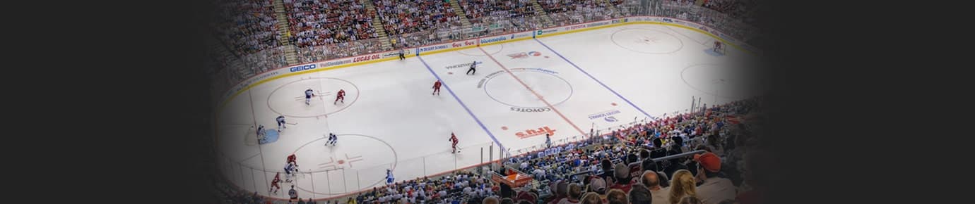 Arizona Coyotes