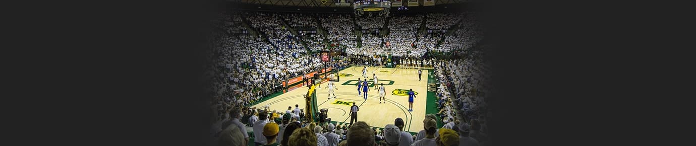 Baylor Bears Mens Basketball