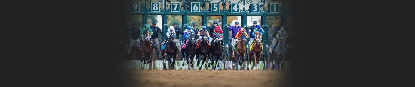 Breeders Cup Tickets