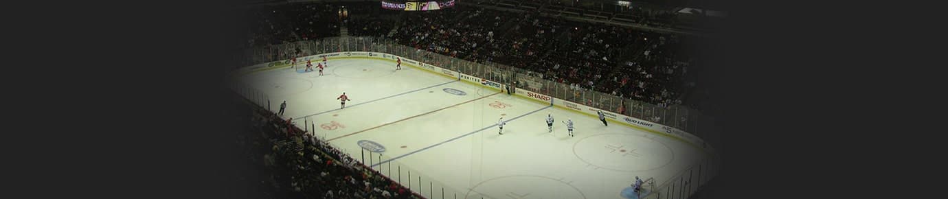 Chicago Blackhawks