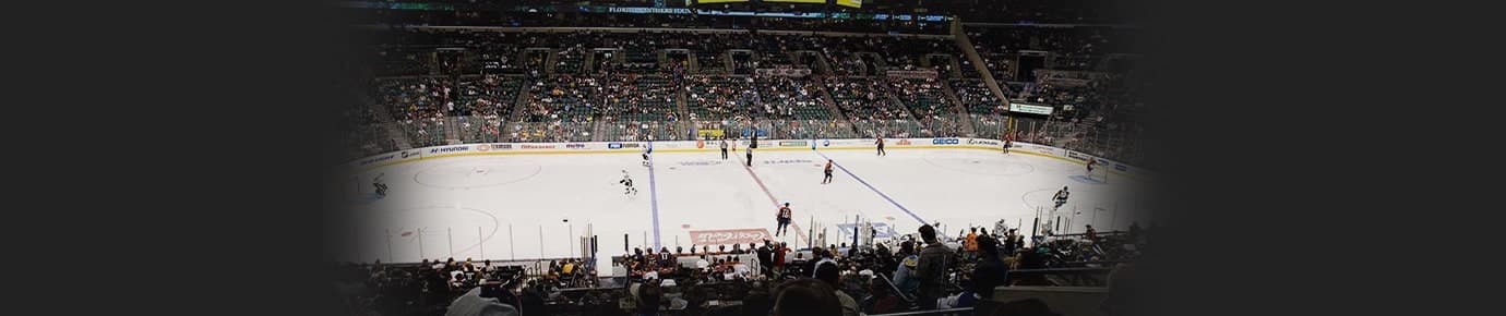 Florida Panthers