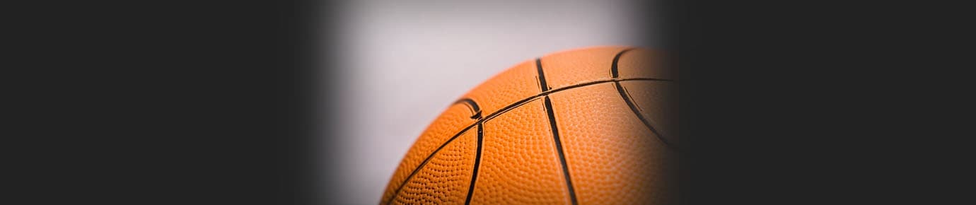 Indiana Fever at Connecticut Sun