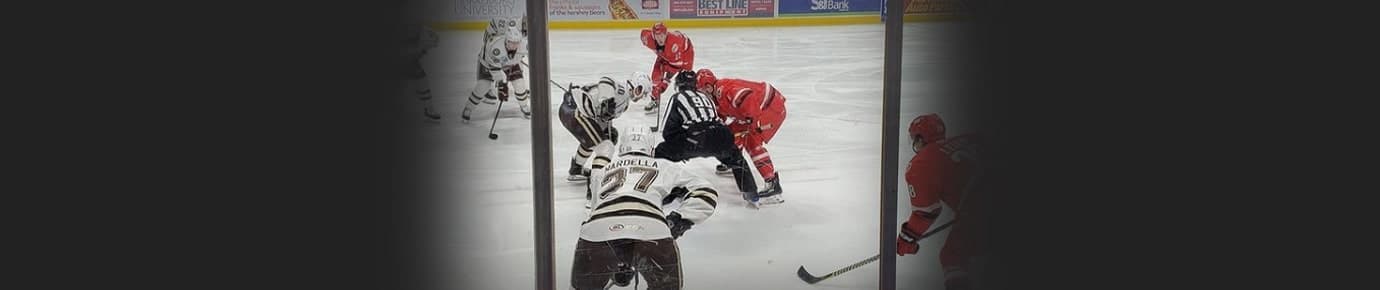 Hershey Bears Tickets