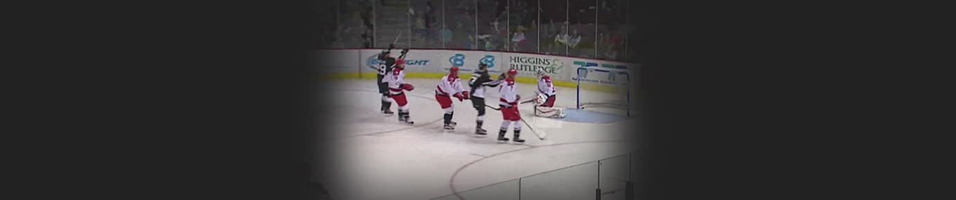 Idaho Steelheads Tickets