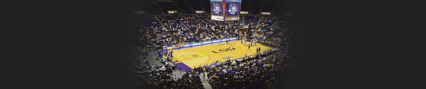 LSU Tigers Mens Basketball