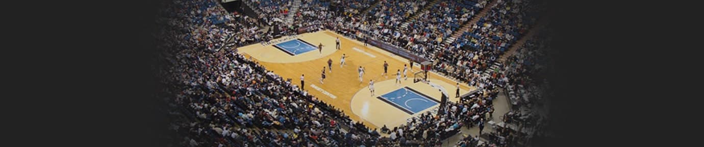 Minnesota Timberwolves