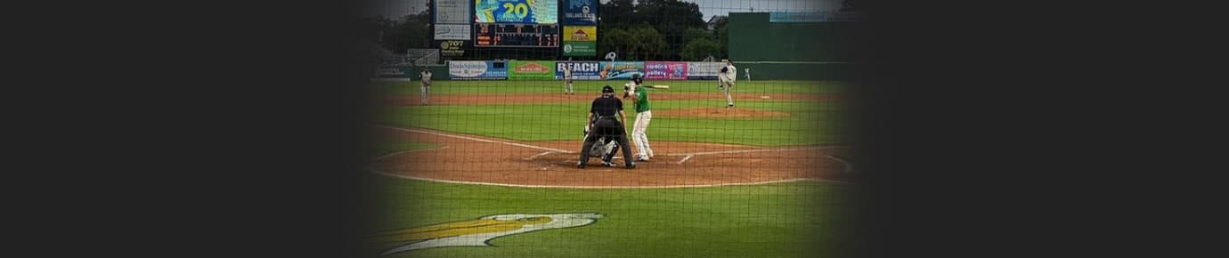 Myrtle Beach Pelicans Tickets