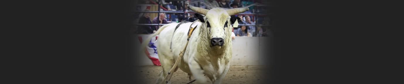 National Western Stock Show Tickets