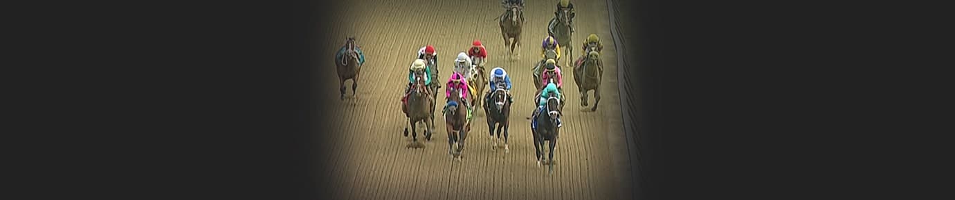 Horse Racing Tickets