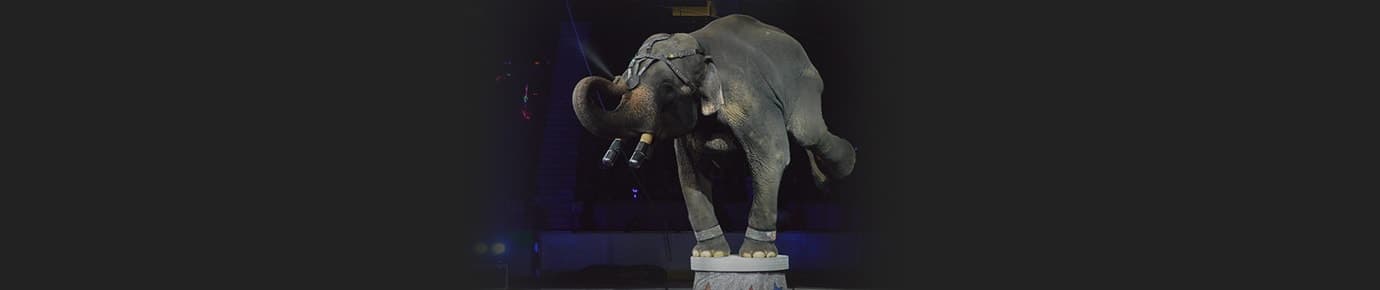 Shrine Circus Tickets