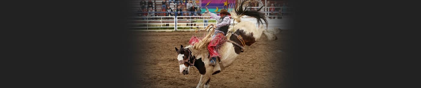 Snake River Stampede Tickets