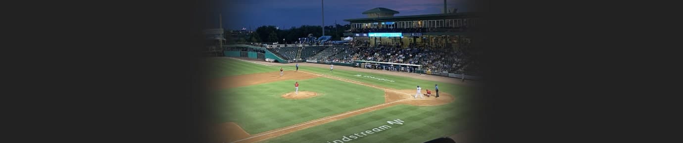 Sugar Land Skeeters