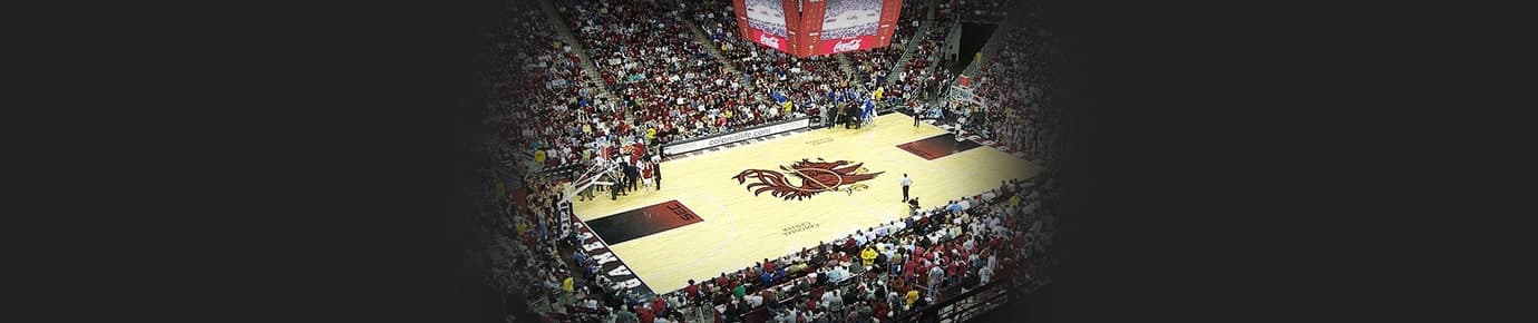 South Carolina Gamecocks Mens Basketball