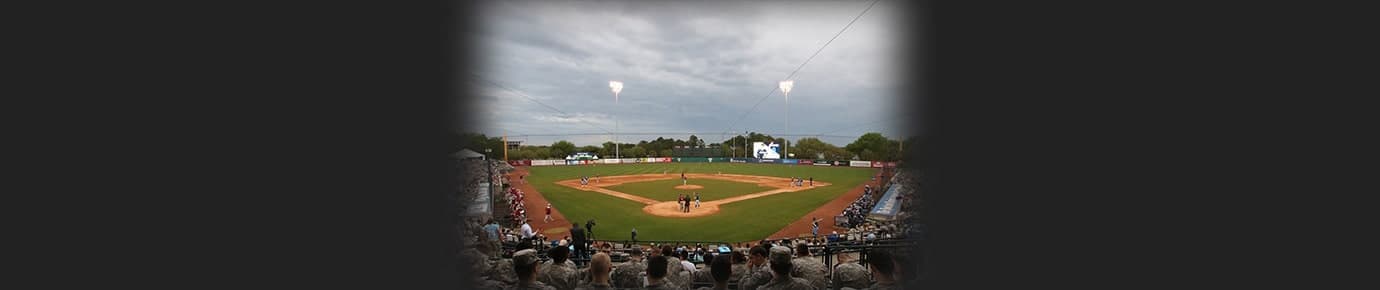 Charleston RiverDogs Tickets
