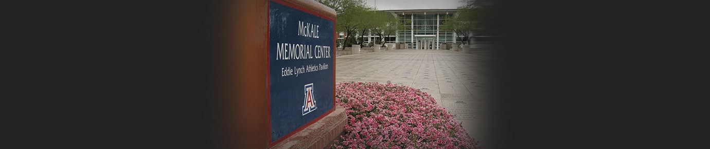 Arizona Wildcats Mens Basketball