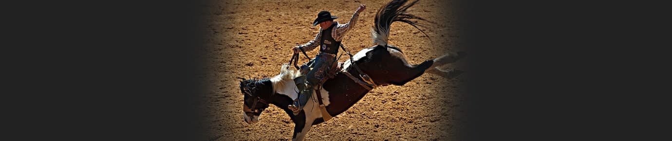 Mesquite Arena Tickets